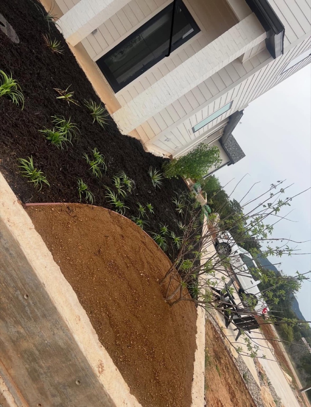 Dark mulch bed with new ornamental plantings