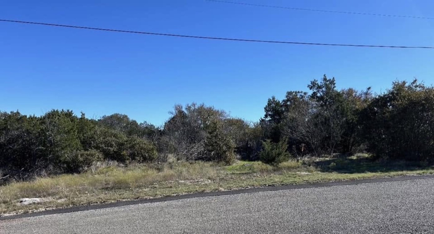 Before: brush and uneven ground on a roadside property