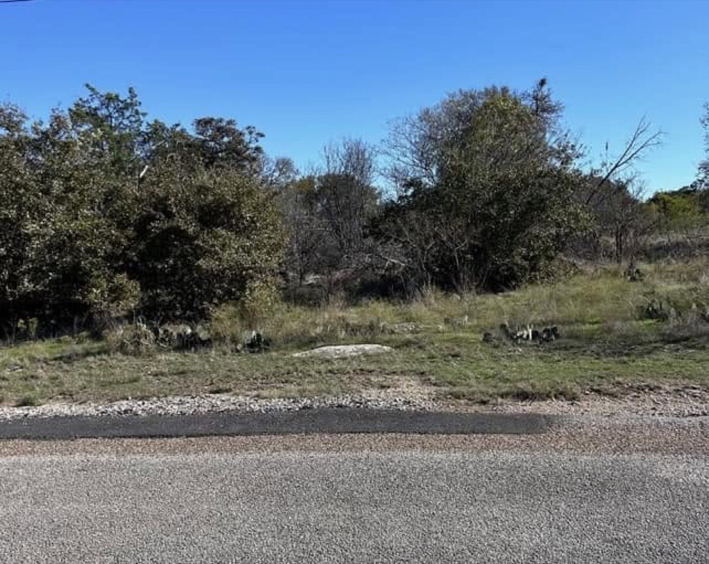 Before: brush and uneven ground along a roadside property