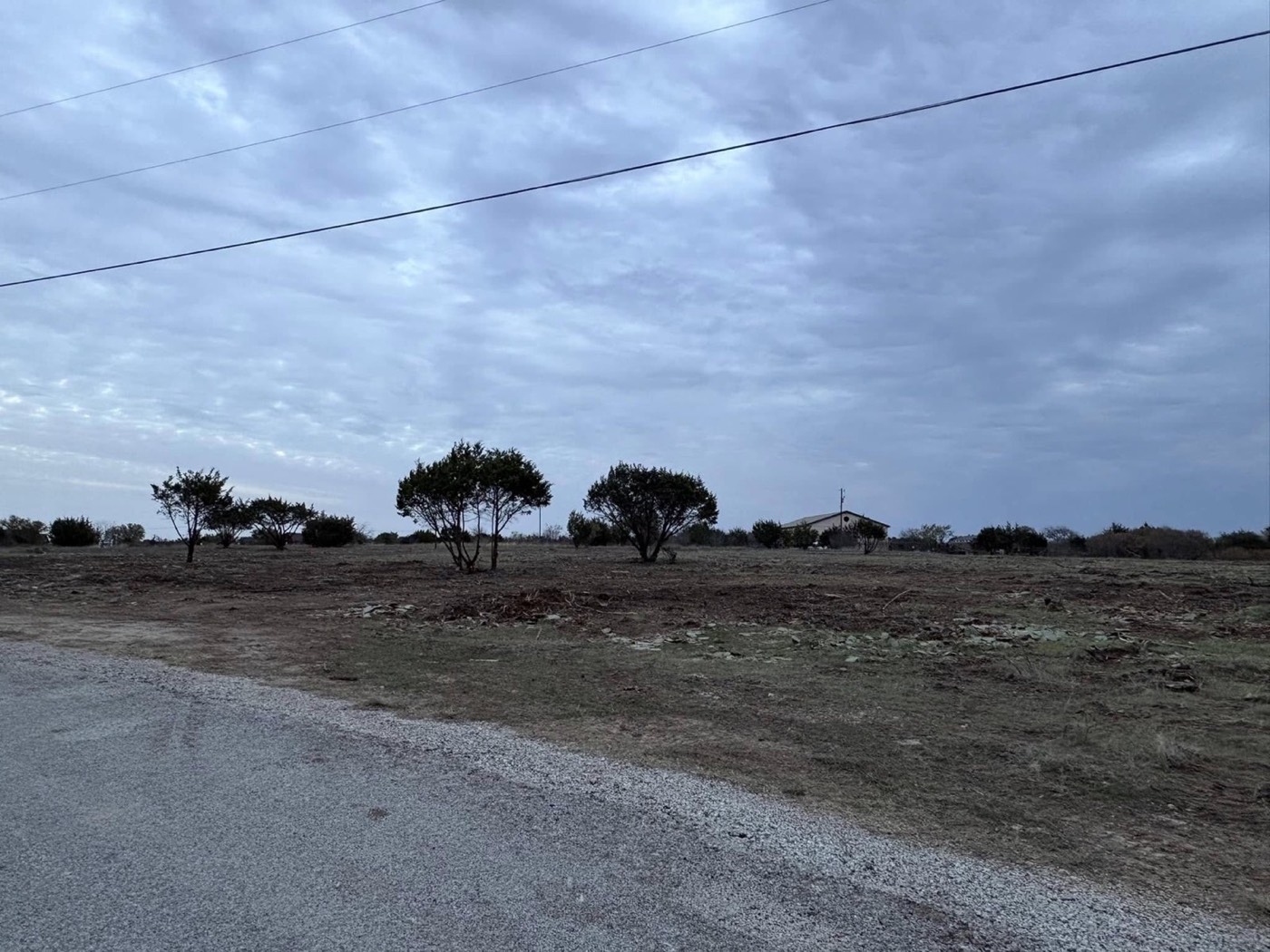 Open property before site clearing