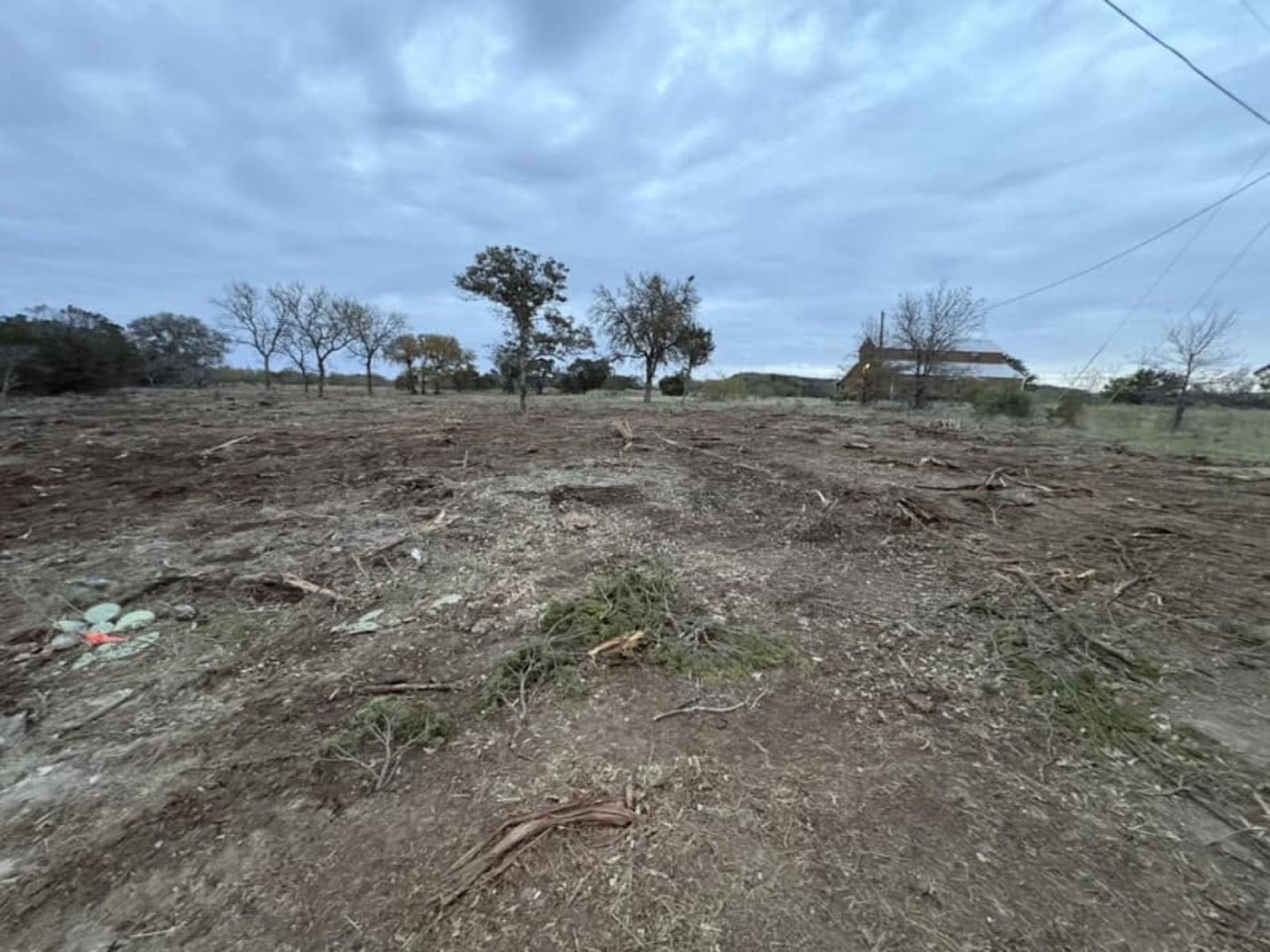 Ground and debris during land clearing