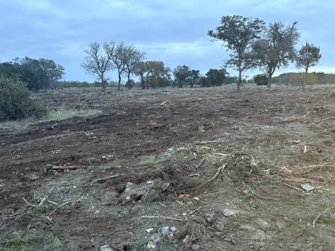 Cleared land during site preparation